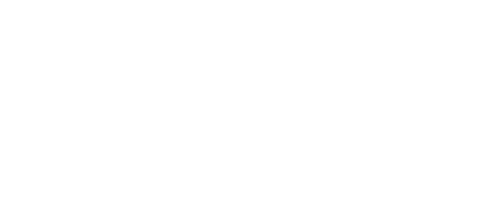 Google Partner