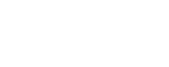 Meta Business Partner